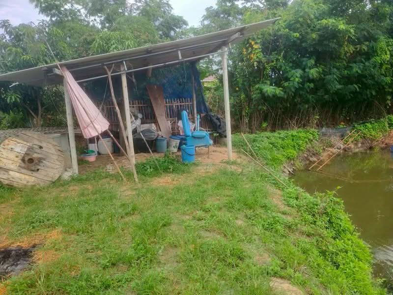 ขาย ที่ดินบ่อน้ำ โซนสันป่าตอง, เชียงใหม่, แม่ก๊า, สันป่าตอง, เชียงใหม่, 1,208 ตร.ม., ที่ดิน ขาย, โดย อามร ยืนยง, 500167107 - DDproperty.com