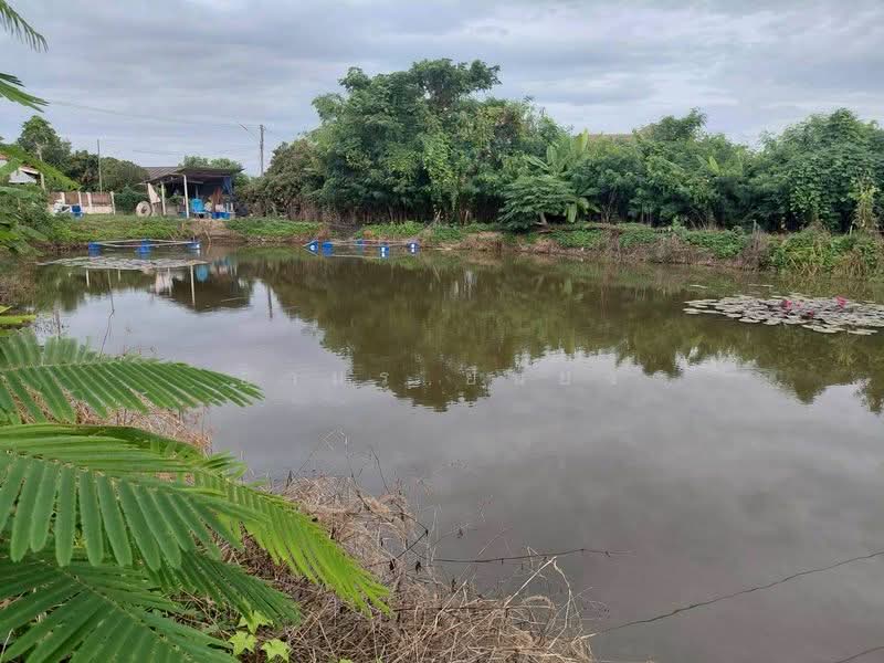 ขาย ที่ดินบ่อน้ำ โซนสันป่าตอง, Chiang Mai, Mae Ka, San Pa Tong, Chiang Mai, , 1,208 sqm, Land For Sale, by Armon Yuenyong, 500167107 - DDproperty.com