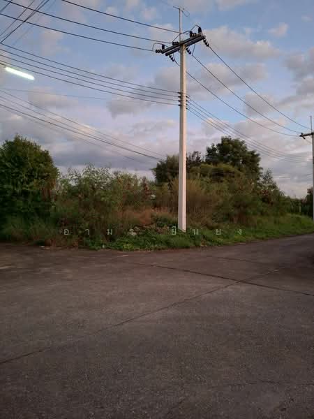 ขาย ที่ดิน โซนหางดง, Chiang Mai, San Phak Wan, Hang Dong, Chiang Mai, , 604 sqm, Land For Sale, by Armon Yuenyong, 500167115 - DDproperty.com