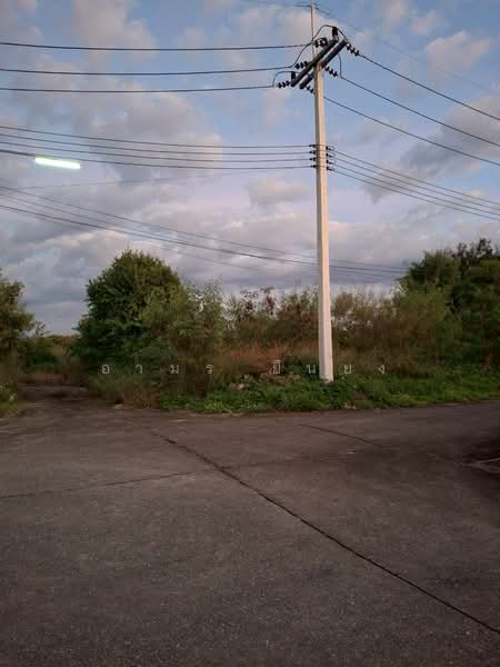 ขาย ที่ดิน โซนหางดง, Chiang Mai, San Phak Wan, Hang Dong, Chiang Mai, , 604 sqm, Land For Sale, by Armon Yuenyong, 500167115 - DDproperty.com