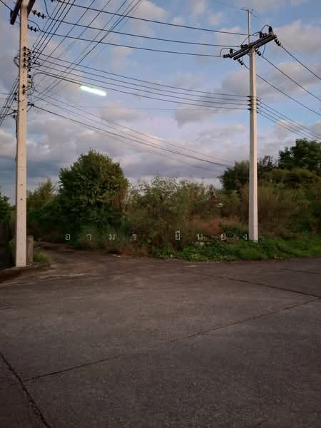 ขาย ที่ดิน โซนหางดง, เชียงใหม่, สันผักหวาน, หางดง, เชียงใหม่, 604 ตร.ม., ที่ดิน ขาย, โดย อามร ยืนยง, 500167115 - DDproperty.com