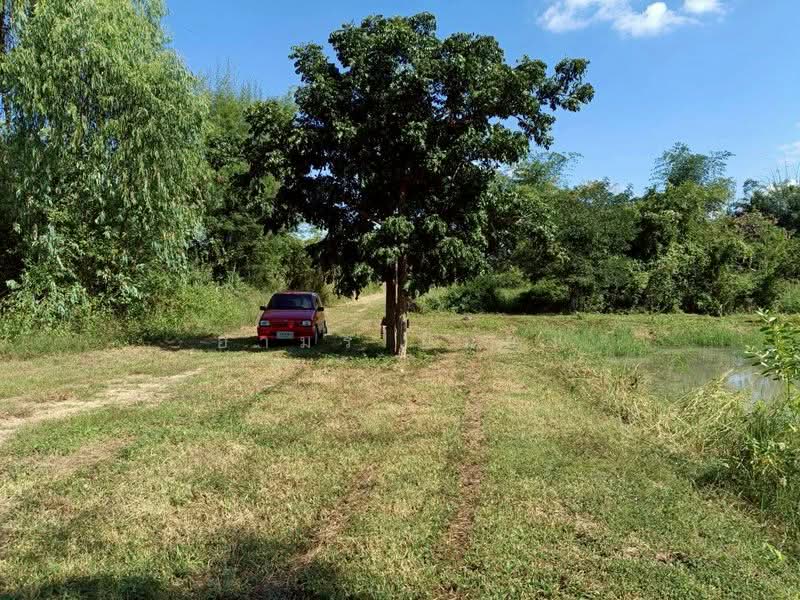 ขาย ที่ดิน โซนดอยหล่อ, เชียงใหม่, ดอยหล่อ, ดอยหล่อ, เชียงใหม่, 1,600 ตร.ม., ที่ดิน ขาย, โดย อามร ยืนยง, 500167140 - DDproperty.com