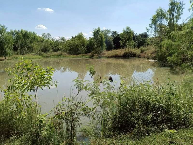 ขาย ที่ดิน โซนดอยหล่อ, เชียงใหม่, ดอยหล่อ, ดอยหล่อ, เชียงใหม่, 1,600 ตร.ม., ที่ดิน ขาย, โดย อามร ยืนยง, 500167140 - DDproperty.com