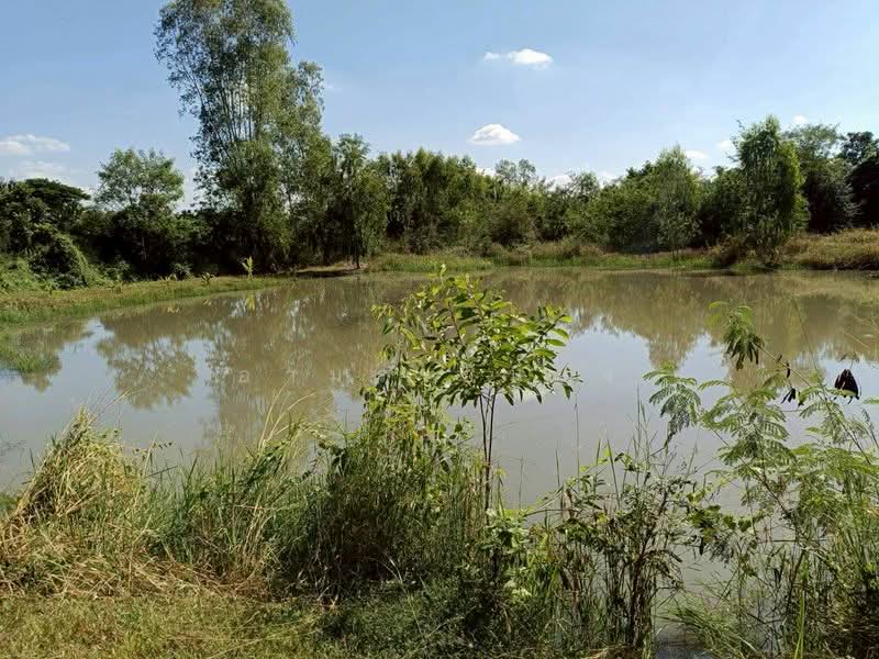 ขาย ที่ดิน โซนดอยหล่อ, เชียงใหม่, ดอยหล่อ, ดอยหล่อ, เชียงใหม่, 1,600 ตร.ม., ที่ดิน ขาย, โดย อามร ยืนยง, 500167140 - DDproperty.com