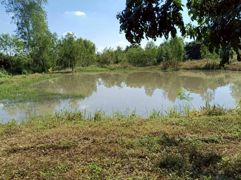 ขาย ที่ดิน โซนดอยหล่อ, Chiang Mai, Doi Lo, Doi Lo, Chiang Mai, , 1,600 sqm, Land For Sale, by Armon Yuenyong, 500167140 - DDproperty.com
