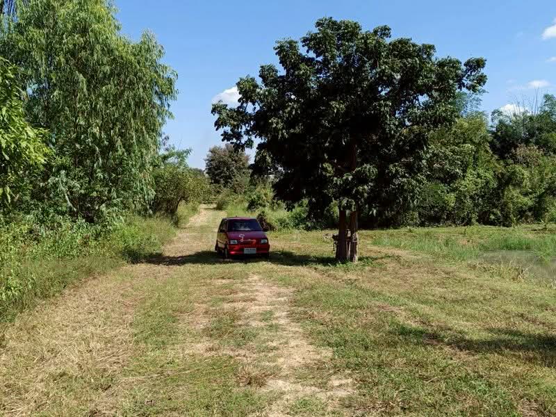 ขาย ที่ดิน โซนดอยหล่อ, Chiang Mai, Doi Lo, Doi Lo, Chiang Mai, , 1,600 sqm, Land For Sale, by Armon Yuenyong, 500167140 - DDproperty.com