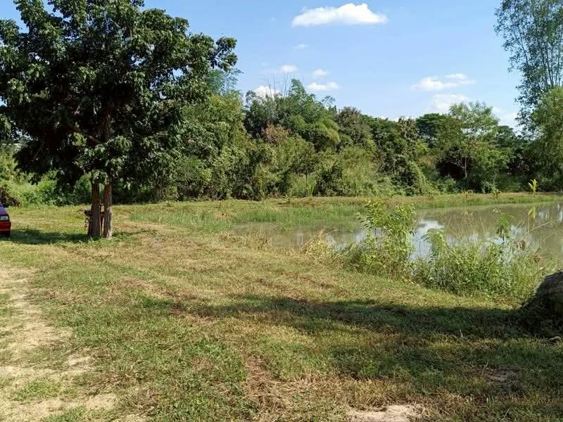 ขาย ที่ดิน โซนดอยหล่อ, เชียงใหม่, ดอยหล่อ, ดอยหล่อ, เชียงใหม่, 1,600 ตร.ม., ที่ดิน ขาย, โดย อามร ยืนยง, 500167140 - DDproperty.com