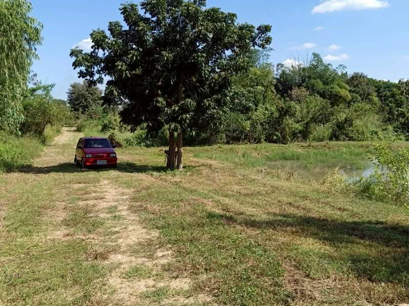 ขาย ที่ดิน โซนดอยหล่อ, Chiang Mai, Doi Lo, Doi Lo, Chiang Mai, , 1,600 sqm, Land For Sale, by Armon Yuenyong, 500167140 - DDproperty.com