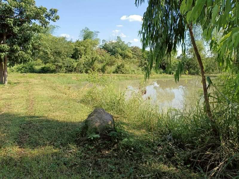 ขาย ที่ดิน โซนดอยหล่อ, เชียงใหม่, ดอยหล่อ, ดอยหล่อ, เชียงใหม่, 1,600 ตร.ม., ที่ดิน ขาย, โดย อามร ยืนยง, 500167140 - DDproperty.com