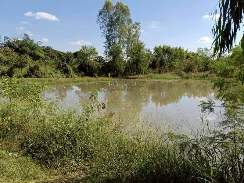 ขาย ที่ดิน โซนดอยหล่อ, เชียงใหม่, ดอยหล่อ, ดอยหล่อ, เชียงใหม่, 1,600 ตร.ม., ที่ดิน ขาย, โดย อามร ยืนยง, 500167140 - DDproperty.com