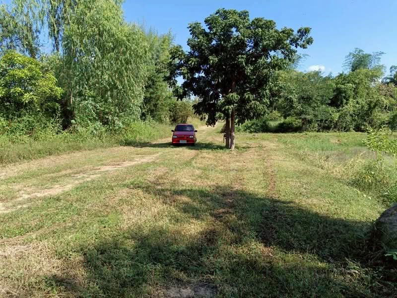 ขาย ที่ดิน โซนดอยหล่อ, เชียงใหม่, ดอยหล่อ, ดอยหล่อ, เชียงใหม่, 1,600 ตร.ม., ที่ดิน ขาย, โดย อามร ยืนยง, 500167140 - DDproperty.com