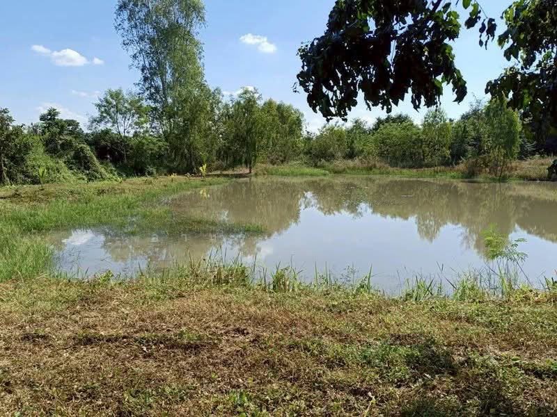 ขาย ที่ดิน โซนดอยหล่อ, Chiang Mai, Doi Lo, Doi Lo, Chiang Mai, , 1,600 sqm, Land For Sale, by Armon Yuenyong, 500167140 - DDproperty.com