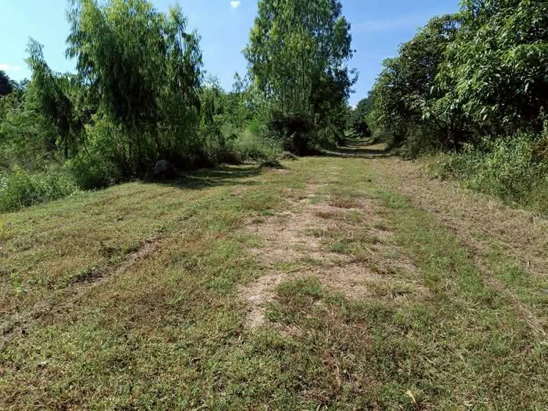 ขาย ที่ดิน โซนดอยหล่อ, เชียงใหม่, ดอยหล่อ, ดอยหล่อ, เชียงใหม่, 1,600 ตร.ม., ที่ดิน ขาย, โดย อามร ยืนยง, 500167140 - DDproperty.com