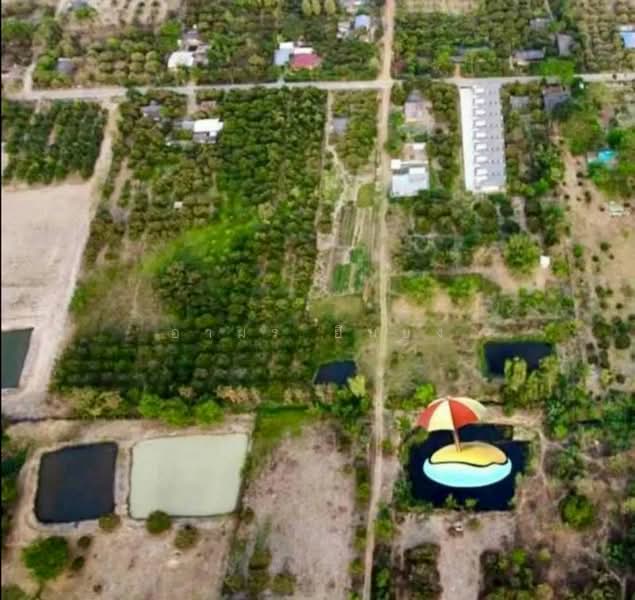 ขาย ที่ดิน โซนดอยหล่อ, เชียงใหม่, ดอยหล่อ, ดอยหล่อ, เชียงใหม่, 1,600 ตร.ม., ที่ดิน ขาย, โดย อามร ยืนยง, 500167140 - DDproperty.com