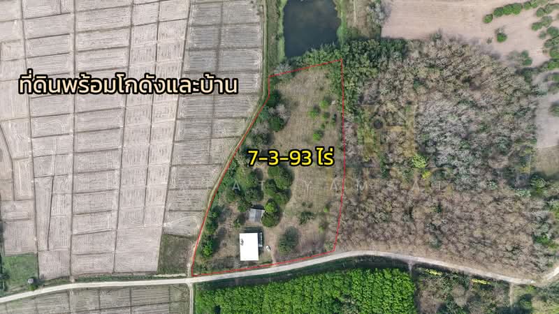 ขาย - เจริญเมือง, เชียงราย