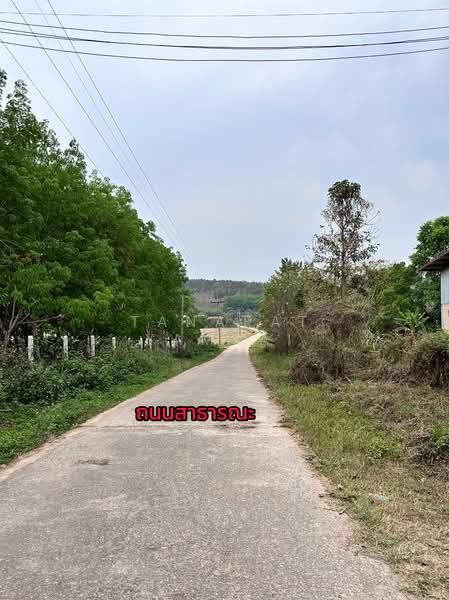 ขาย - เจริญเมือง, เชียงราย