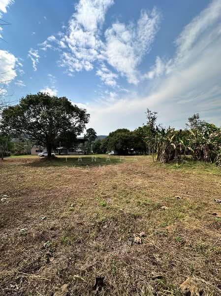 Phan, Chiang Rai, Charoen Muang, Phan, Chiang Rai, , 12,772 sqm, Land For Sale, by Tanapat Yamsai, 500167144 - DDproperty.com