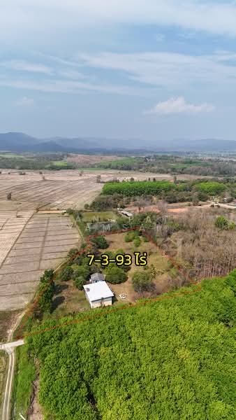 ขาย - เจริญเมือง, เชียงราย