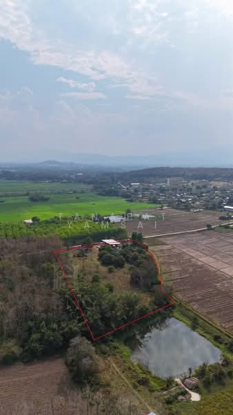 Phan, Chiang Rai, Charoen Muang, Phan, Chiang Rai, , 12,772 sqm, Land For Sale, by Tanapat Yamsai, 500167144 - DDproperty.com