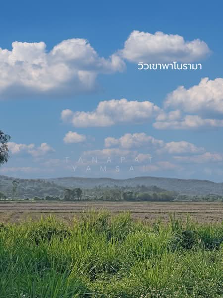 Phan, Chiang Rai, Charoen Muang, Phan, Chiang Rai, , 12,772 sqm, Land For Sale, by Tanapat Yamsai, 500167144 - DDproperty.com