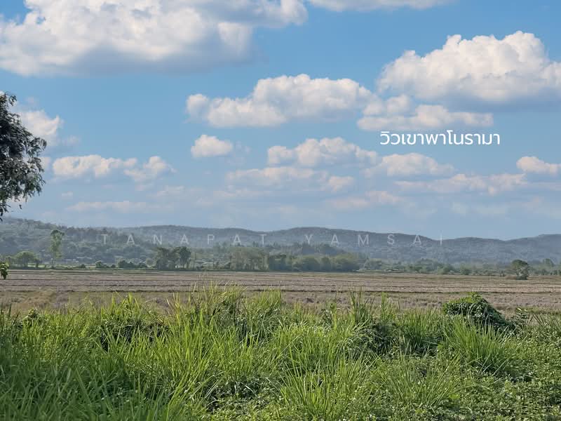Phan, Chiang Rai, Charoen Muang, Phan, Chiang Rai, , 12,772 sqm, Land For Sale, by Tanapat Yamsai, 500167144 - DDproperty.com