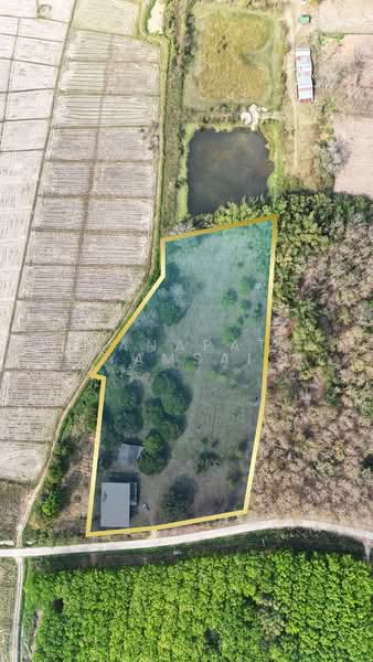 Phan, Chiang Rai, Charoen Muang, Phan, Chiang Rai, , 12,772 sqm, Land For Sale, by Tanapat Yamsai, 500167144 - DDproperty.com