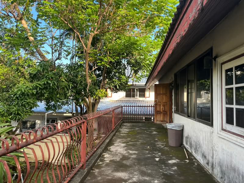 House for Rent Big Garden In Ekkamai Ideal for Spa Wellness Restaurant, กรุงเทพ, คลองตันเหนือ, วัฒนา, กรุงเทพ, 286 ตร.ม., พื้นที่ขายของ ให้เช่า, โดย จันทร์จิรา เกษมปราการ, 500167173 - DDproperty.com