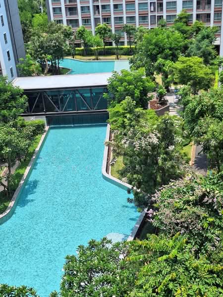 Dcondo Ping, Chiang Mai, 243 Super Highway Road Chiang Mai - Lampang, Fa Ham, Muang Chiang Mai, Chiang Mai, 1 Bedroom, 30 sqm, Condo For Rent, by Best Choice Property, 500167268 - DDproperty.com