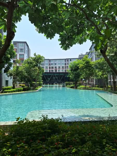 Dcondo Ping, Chiang Mai, 243 Super Highway Road Chiang Mai - Lampang, Fa Ham, Muang Chiang Mai, Chiang Mai, 1 Bedroom, 30 sqm, Condo For Rent, by Best Choice Property, 500167268 - DDproperty.com