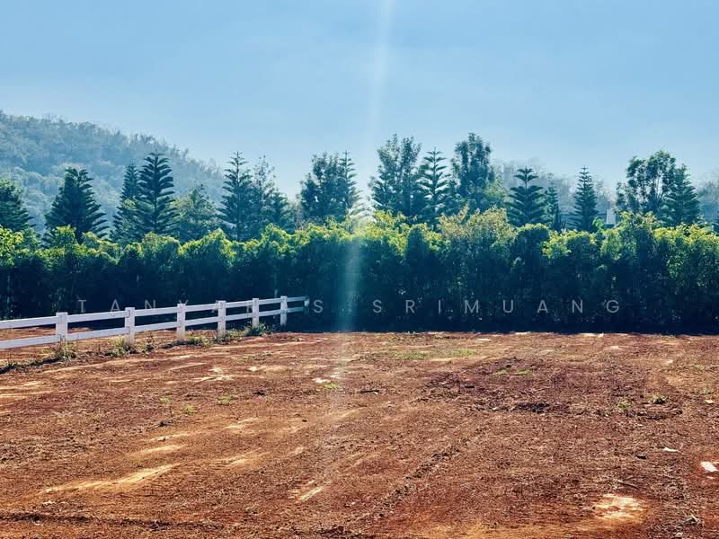 ขาย - ปากช่อง, นครราชสีมา