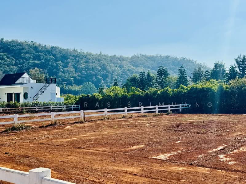 ขาย - ปากช่อง, นครราชสีมา