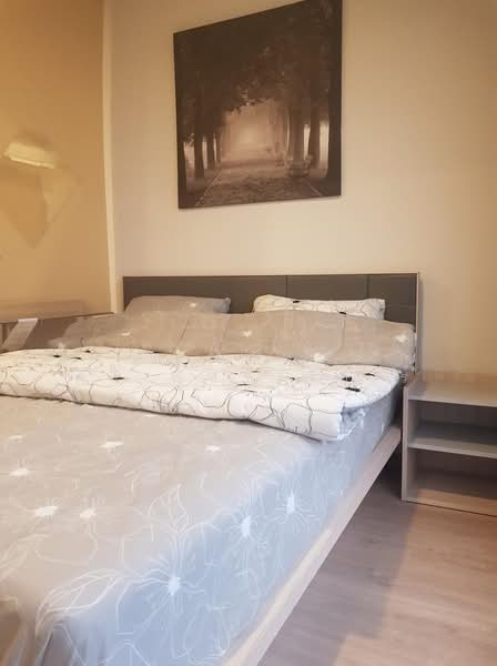 IDEO O2 บางนา, กรุงเทพ, 195 ถนนสรรพาวุธ, บางนาใต้, บางนา, กรุงเทพ, 27 ตร.ม., คอนโด ให้เช่า, โดย ปัณณภัสร์ ศรีพัชรพัชร์, 500167383 - DDproperty.com