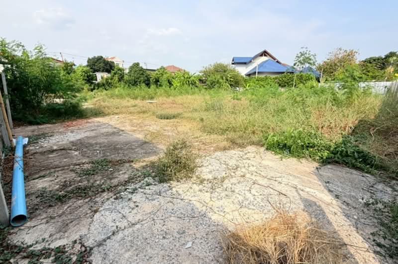 ซอยอ่อนนุช 66 แยก 19-12-2, Bangkok, Bang Chak, Phra Khanong, Bangkok, , 1,252 sqm, Land For Sale, by ชนะชาติ นนท์ตา, 500167390 - DDproperty.com