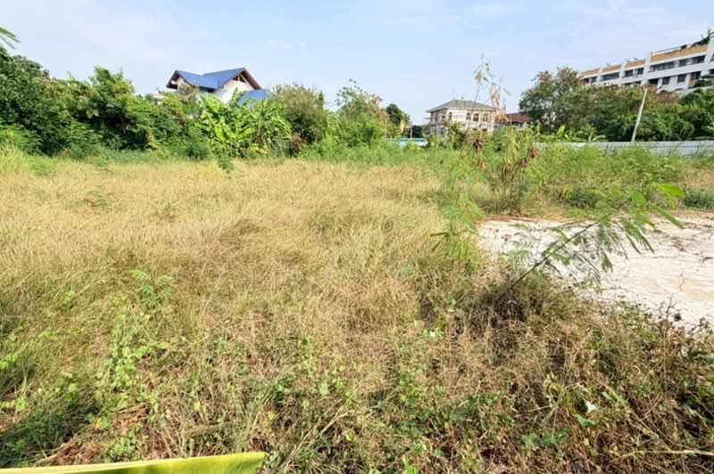 ซอยอ่อนนุช 66 แยก 19-12-2, Bangkok, Bang Chak, Phra Khanong, Bangkok, , 1,252 sqm, Land For Sale, by ชนะชาติ นนท์ตา, 500167390 - DDproperty.com