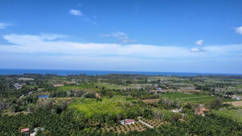 Land nearby Natai Beach 6 min., Phangnga, Khok Kloi, Takua Thung, Phangnga, , 400 sqm, Land For Sale, by Phachara Saelee, 500167419 - DDproperty.com