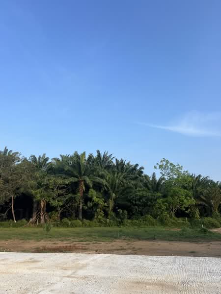 Land nearby Natai Beach 6 min., Phangnga, Khok Kloi, Takua Thung, Phangnga, , 400 sqm, Land For Sale, by Phachara Saelee, 500167419 - DDproperty.com