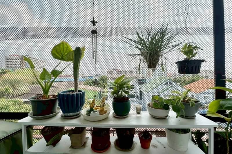 The Peak Condominium @ Ratchada-Huaykwang, Bangkok, Soi Pracharat Bamphen 16, Pracharat Bamphen Road, Huai Khwang, Huai Khwang, Bangkok, 1 Bedroom, 49 sqm, Condo For Sale, by คุณเปิ้ล, 500167436 - DDproperty.com