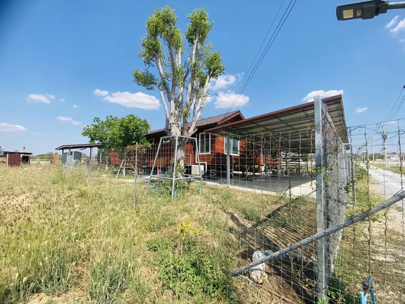 ปากช่อง, Nakhon Ratchasima, Nong Sarai, Pak Chong, Nakhon Ratchasima, , 800 sqm, Land For Sale, by Tanyaras Srimuang, 500167442 - DDproperty.com