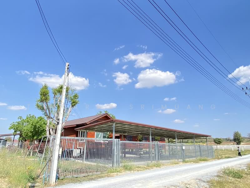 ปากช่อง, Nakhon Ratchasima, Nong Sarai, Pak Chong, Nakhon Ratchasima, , 800 sqm, Land For Sale, by Tanyaras Srimuang, 500167442 - DDproperty.com