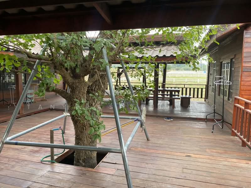 ปากช่อง, Nakhon Ratchasima, Nong Sarai, Pak Chong, Nakhon Ratchasima, , 800 sqm, Land For Sale, by Tanyaras Srimuang, 500167442 - DDproperty.com