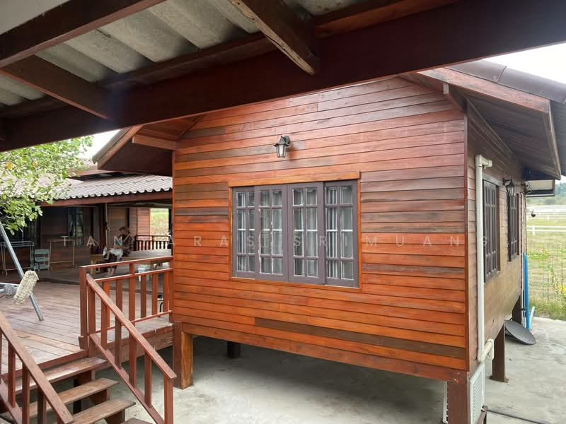 ปากช่อง, Nakhon Ratchasima, Nong Sarai, Pak Chong, Nakhon Ratchasima, , 800 sqm, Land For Sale, by Tanyaras Srimuang, 500167442 - DDproperty.com