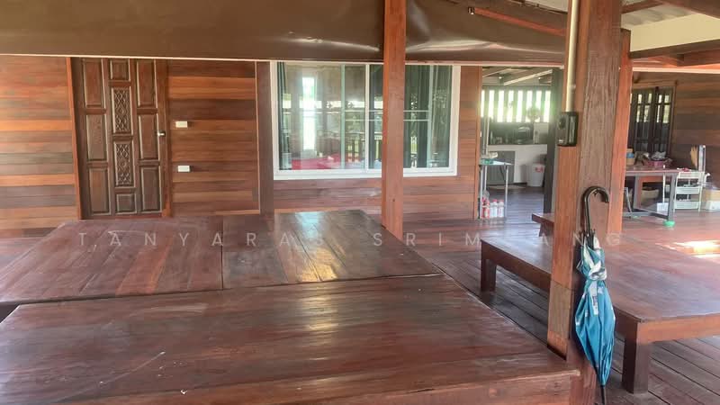 ปากช่อง, Nakhon Ratchasima, Nong Sarai, Pak Chong, Nakhon Ratchasima, , 800 sqm, Land For Sale, by Tanyaras Srimuang, 500167442 - DDproperty.com