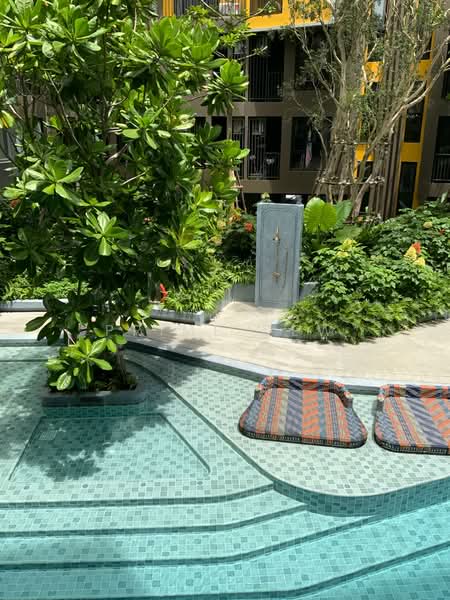 The Base Central : เดอะ เบส เซ็นทรัล ภูเก็ต, ภูเก็ต, ถนน เจ้าฟ้าตะวันตก, วิชิต, เมืองภูเก็ต, ภูเก็ต, 29 ตร.ม., คอนโด ให้เช่า, โดย Prime Dew, 500167456 - DDproperty.com