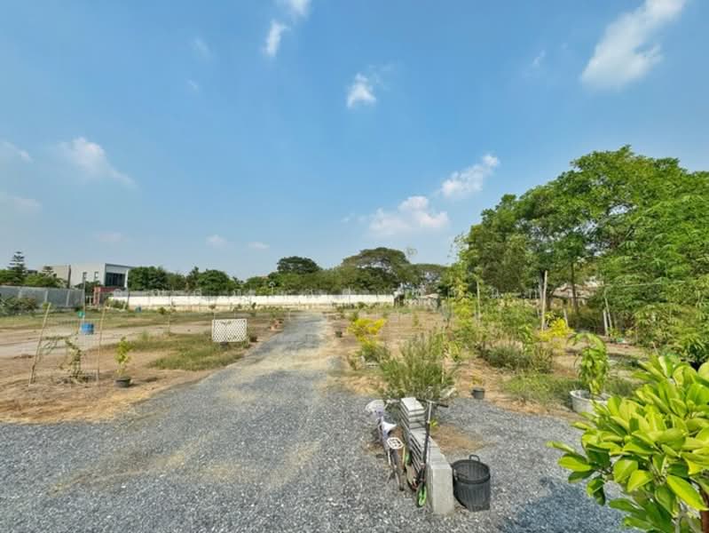 ที่ดิน คลองพระอุดม ปากเกร็ด ถ.ชัยพฤกษ์ ซ.แก้วห่วงนาค ต.คลองพระอุดม อ.ปากเกร็ด จ.นนทบุรี 11120, Nonthaburi, Khlong Phra Udom, Pak Kret, Nonthaburi, , 1,988 sqm, Land For Sale, by คุณศุภโชค ฟักแก้ว (บิ๊ก), 500167498 - DDproperty.com