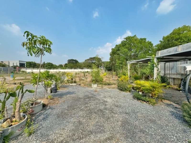 ที่ดิน คลองพระอุดม ปากเกร็ด ถ.ชัยพฤกษ์ ซ.แก้วห่วงนาค ต.คลองพระอุดม อ.ปากเกร็ด จ.นนทบุรี 11120, Nonthaburi, Khlong Phra Udom, Pak Kret, Nonthaburi, , 1,988 sqm, Land For Sale, by คุณศุภโชค ฟักแก้ว (บิ๊ก), 500167498 - DDproperty.com