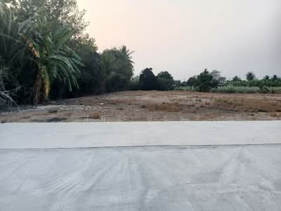 ขาย - ที่ดินนครชัยศรี นครปฐม, นครปฐม