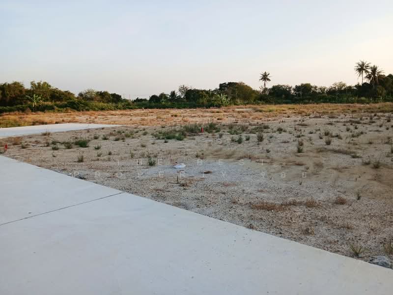 ที่ดินนครชัยศรี นครปฐม, Nakhon Pathom, Huai Phlu, Nakhon Chai Sri, Nakhon Pathom, , 1,720 sqm, Land For Sale, by The Best Property จอย, 500167530 - DDproperty.com