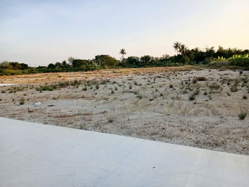 ที่ดินนครชัยศรี นครปฐม, นครปฐม, ห้วยพลู, นครชัยศรี, นครปฐม, 1,720 ตร.ม., ที่ดิน ขาย, โดย The Best Property จอย, 500167530 - DDproperty.com