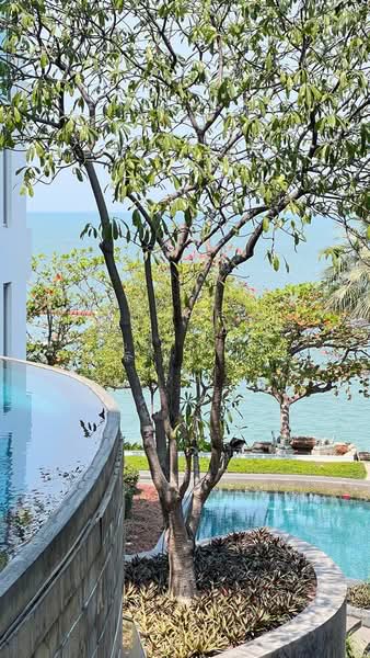 The Sanctuary Wongamat, Chon Buri (Pattaya), Soi Pattaya - Naklua 12, Na Kloe, Bang Lamung (Pattaya), Chon Buri (Pattaya), 2 Bedrooms, 62 sqm, Condo For Sale, by วนัชภรณ์ แก้วลาน, 500167536 - DDproperty.com