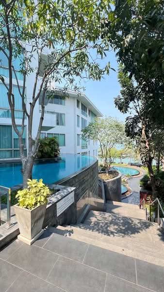 The Sanctuary Wongamat : เดอะ แซงชัวรี วงศ์อมาตย์, ชลบุรี, ซอยพัทยา-นาเกลือ 12, นาเกลือ, บางละมุง, ชลบุรี, 62 ตร.ม., คอนโด ขาย, โดย วนัชภรณ์ แก้วลาน, 500167536 - DDproperty.com